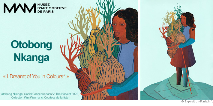 expo-otobong-nkanga-musee-art-moderne-de-paris