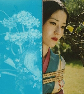 expo-photo-mille-polaroids-araki-nobuyoshi
