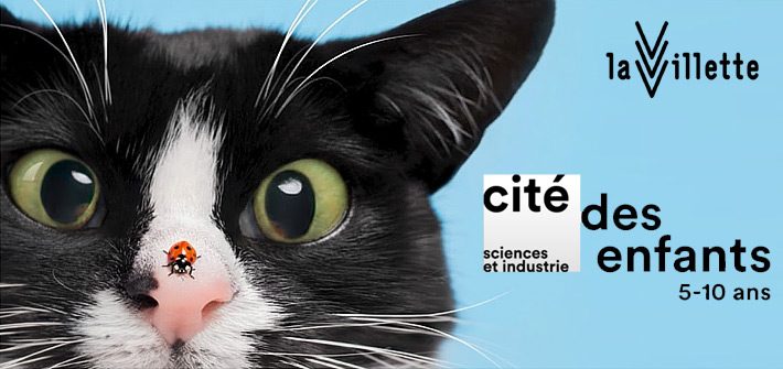 cite-des-enfants-5-10-ans-paris