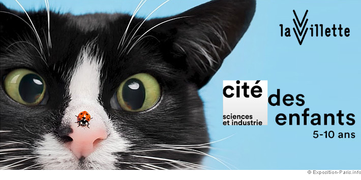 cite-des-enfants-5-10-ans-paris