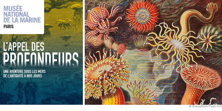 expo-appel-des-profondeurs-musee-marine-paris