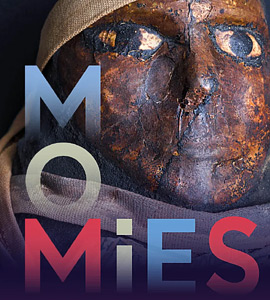 Expo Momies au musée de l'Homme à Paris