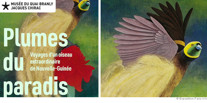 expo-plumes-du-paradis-musee-quai-branly-paris
